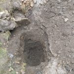 IMG-20250327-WA0065