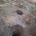 IMG-20250401-WA0060