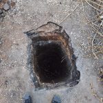 IMG-20250402-WA0037