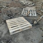 IMG-20250403-WA0056
