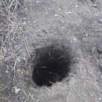 IMG-20250403-WA0063