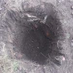 IMG-20250403-WA0074