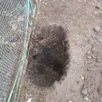 IMG-20250405-WA0027