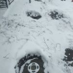 IMG-20250406-WA0005