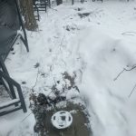 IMG-20250406-WA0007