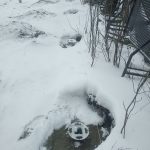 IMG-20250406-WA0011