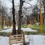 IMG-20250407-WA0054