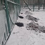 IMG-20250408-WA0049