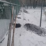 IMG-20250408-WA0050