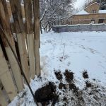 IMG-20250409-WA0010