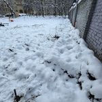 IMG-20250409-WA0014