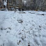 IMG-20250409-WA0017