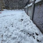 IMG-20250409-WA0018