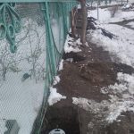 IMG-20250409-WA0053