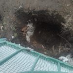 IMG-20250409-WA0055