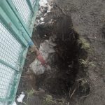 IMG-20250409-WA0062