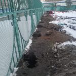 IMG-20250409-WA0063