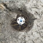 IMG-20250411-WA0067