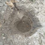 IMG-20250411-WA0068