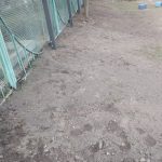 IMG-20250413-WA0018