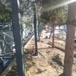 IMG-20250413-WA0024