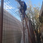 IMG-20250418-WA0053
