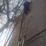 IMG-20250418-WA0054
