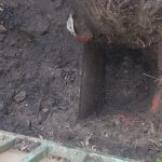 IMG-20250418-WA0063