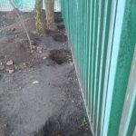 IMG-20250418-WA0067