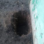 IMG-20250418-WA0069