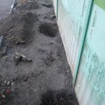 IMG-20250418-WA0070