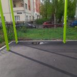 IMG-20250425-WA0091