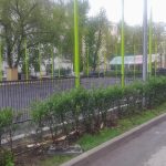 IMG-20250425-WA0094
