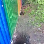 IMG-20250430-WA0196
