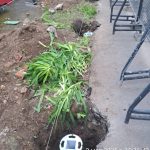 IMG-20250503-WA0063