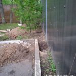 IMG-20250503-WA0075