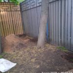 IMG-20250503-WA0077