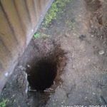 IMG-20250503-WA0079