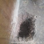 IMG-20250505-WA0094