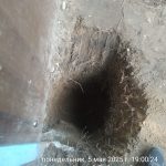 IMG-20250505-WA0096
