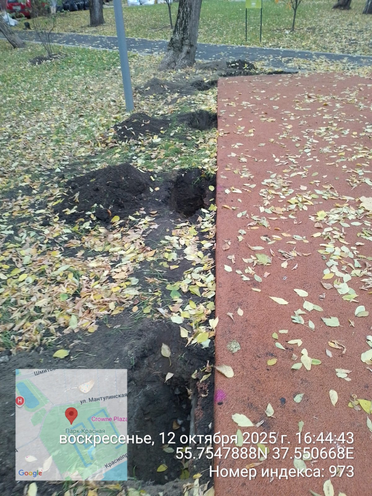 WhatsApp-Image-2025-10-12-at-16.54