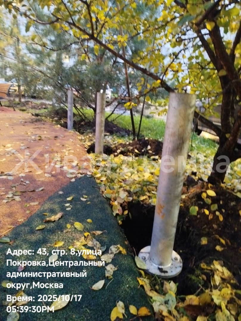 WhatsApp-Image-2025-10-17-at-17.59