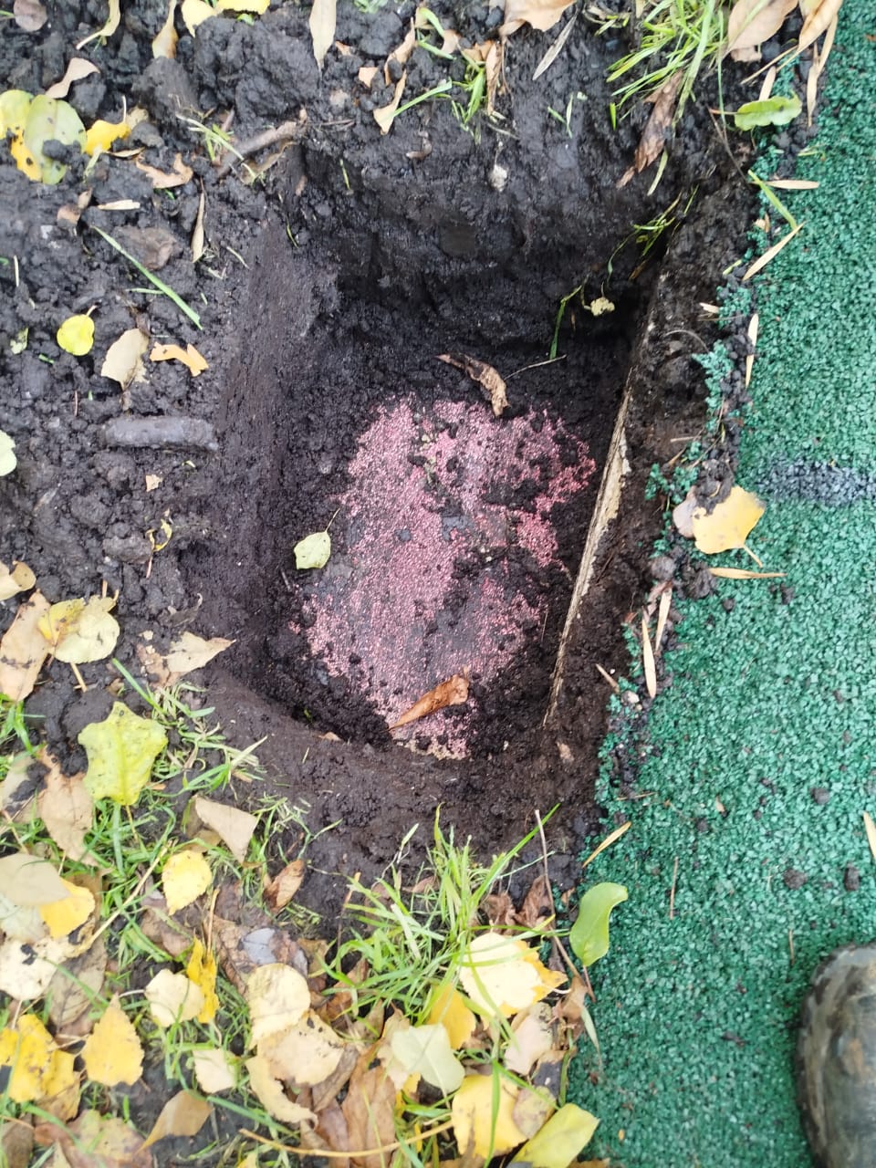 WhatsApp-Image-2025-10-18-at-18.04