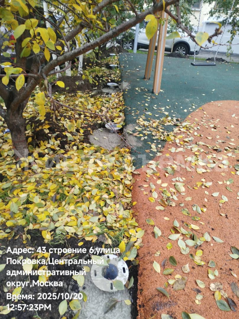 WhatsApp-Image-2025-10-20-at-12.58