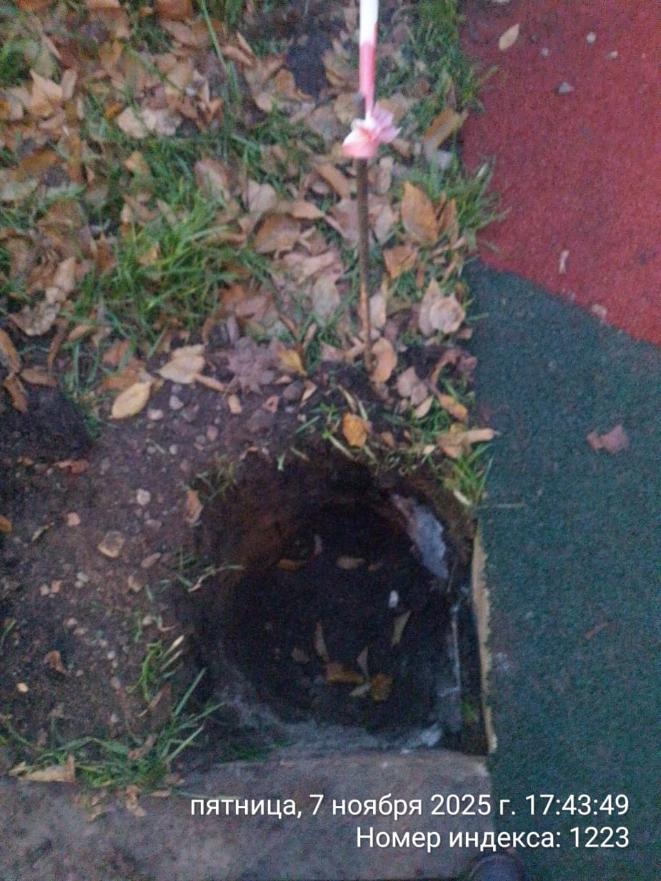 WhatsApp-Image-2025-11-07-at-17.49